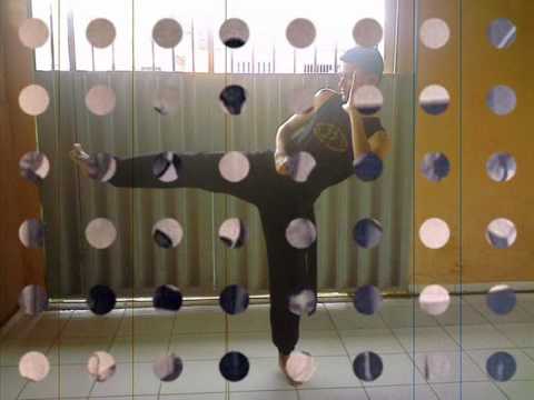 Tributo a bruce lee 0002