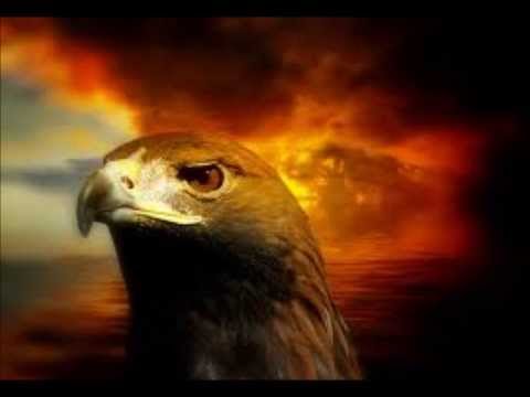 Andrea Roan- Eagle Song