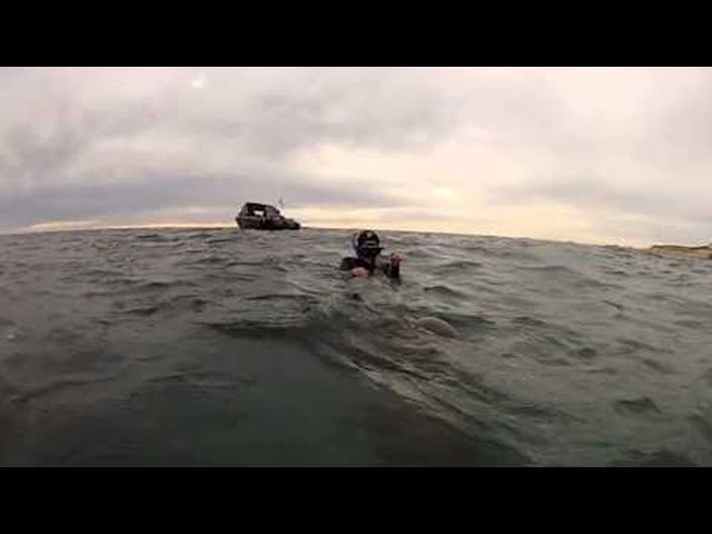 Snorkeling with Sea Wolves || ViralHog