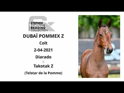 Dubaï Pommex Z