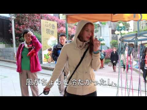 NIPPON珍道中 Surfing in Enoshima! 江ノ島と湘南でサーフィン！ (NIPPON珍道中 Surfing in Enoshima! 江ノ島と湘南でサーフィン！)