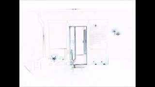 Áine O'Dwyer - Pedal Danse