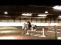Spirit Horse