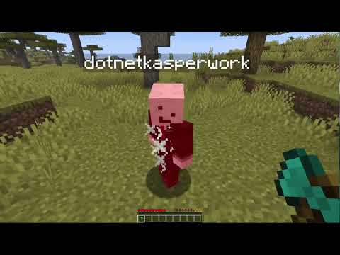 Demo Video