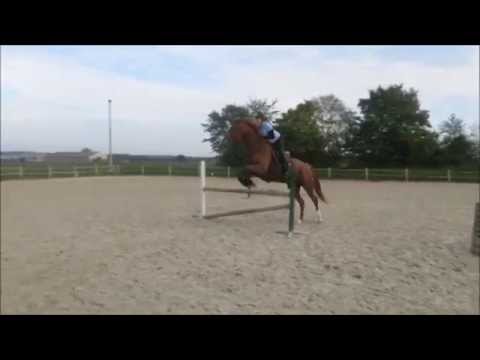 Séance du 29/10/2014 - Obstacle