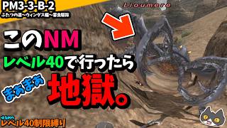 【⚔轟くFF11】ゆるめLv40制限縛りのPM3-3-B-2「ふたつの道」ウィンダス編害虫駆除【復帰プレイ#320】