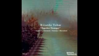 Ricardo Tobar - Together (Fairmont Remix) [NS036]