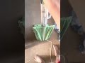 Vacuuming The House With The Hoover Convertible U4101