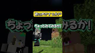 【ﾎﾗｰ¿】　謎の井戸#マインクラフト #マイクラ #面白集