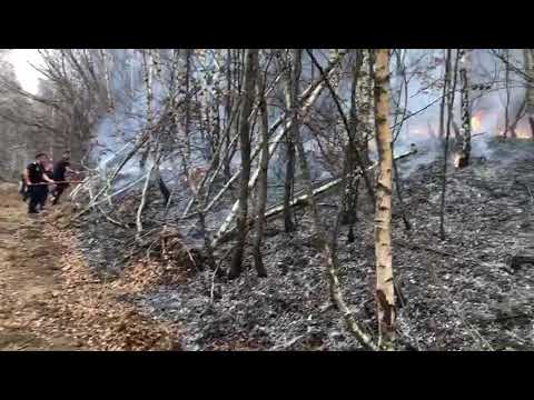 Incendiu la Salciua de Sus în județul Alba