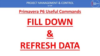 Fill Down & Refresh Operations in Primavera P6