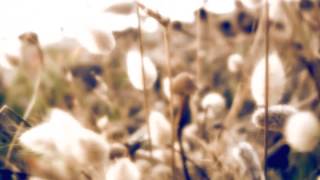 Electronic Emotions Jonas Munk Tribute