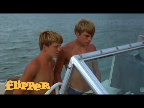 Porter Swims With A "Devil Ray" | Flipper
