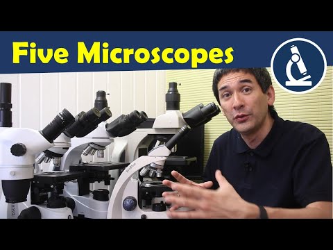 🔬 Microscope comparison