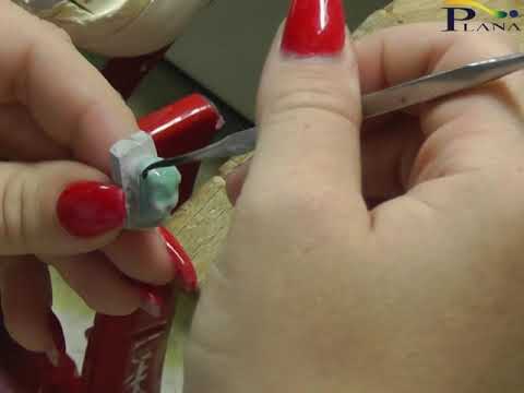Plana - Indirizzo odontotecnico