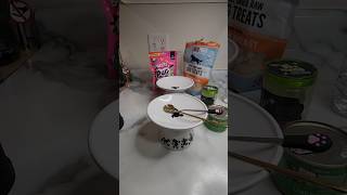 Feed my cats #asmr #asmrcat #catshorts #cat #catfood #food  #catfeeding #cateating #cutecat #youtube
