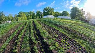 What Does “Winter Growing” Mean in Hot Regions