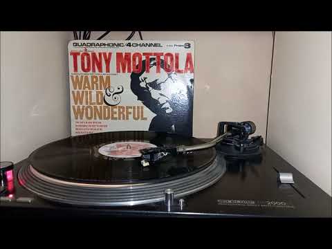 4 - With a little help (Tony Mottola) Vinilo