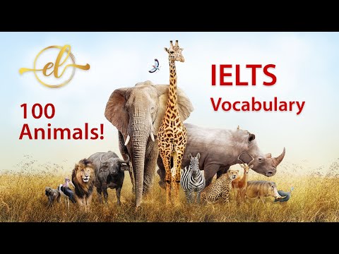 Learn English with IELTS Vocabulary  - One Hundred Animals