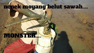 Download lagu PANEN BELUT BESAR PAKE TANGAN KOSONG DI DEPAN PERUMNAS PERUMAHAN BERSUBSIDI mp3