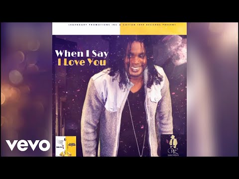 Golden Voice - When I Say I Love You (Official Audio Visual)