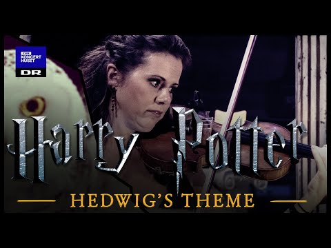 Hedwig's Theme - Harry Potter // Danish National Symphony Orchestra (Live)
