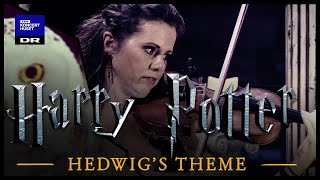 Download lagu Hedwig's Theme - Harry Potter // Danish National Symphony Orchestra (Live) mp3