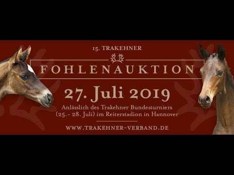 Bundesturnier-Fohlenauktion in Hannover am Samstag, den 27. Juli 2019