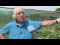 Grote verslagenheid bij Dordtse tuinders