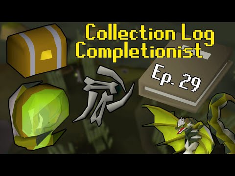 Pet Points Log In Detailed Login Instructions Loginnote