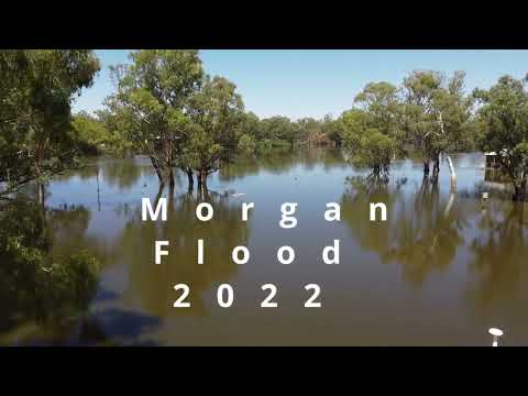 Morgan Flood Snapshot 2022 4K
