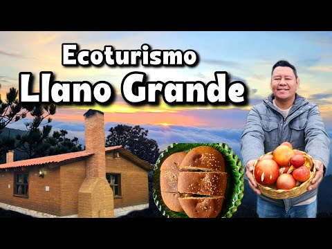 Ecoturismo en la SIERRA de Oaxaca 🌲 Cabañas, cascada y más 😊 Parte 1