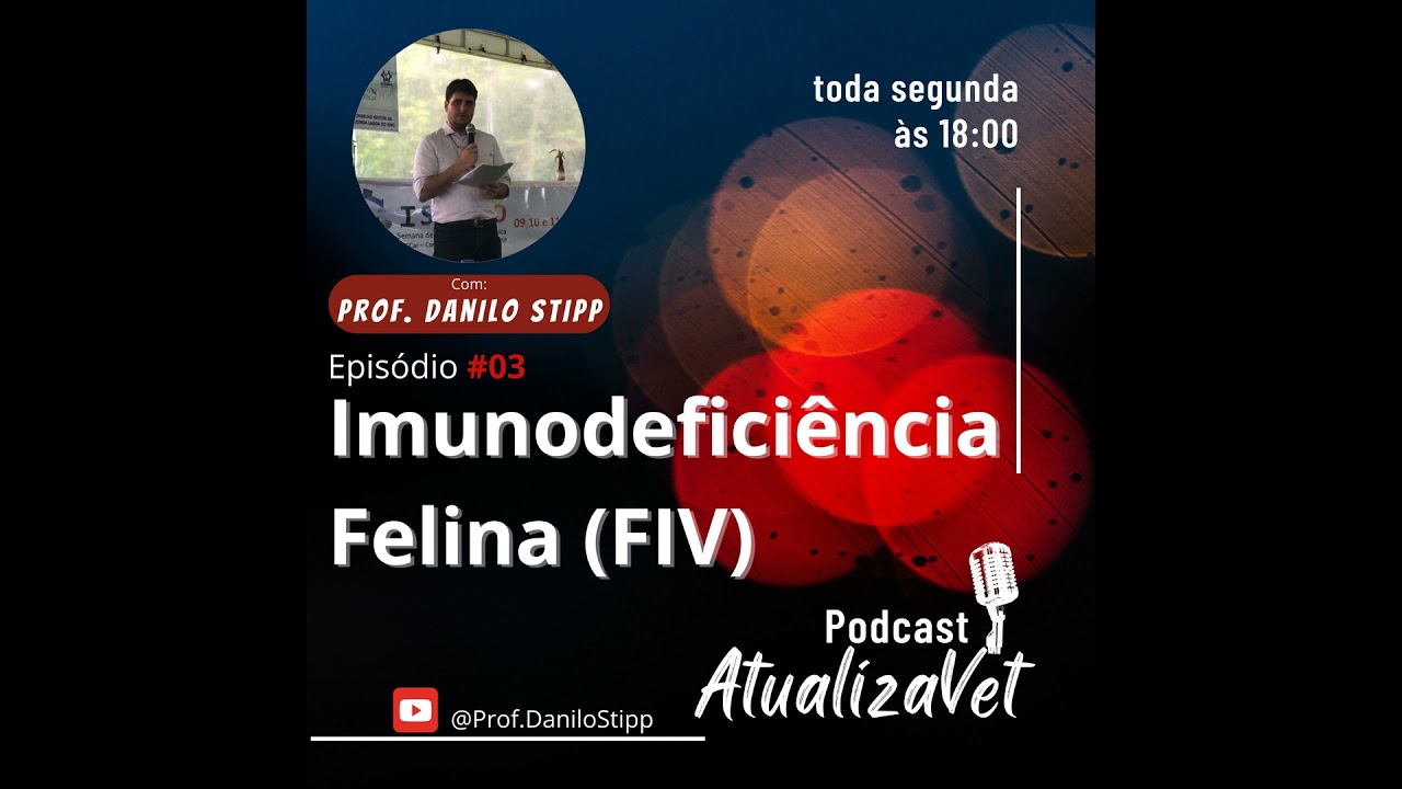 Imunodeficiência Felina (FIV)