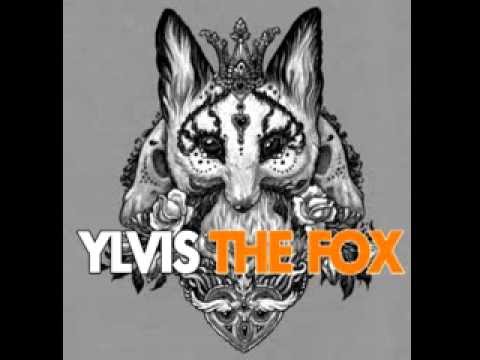 Martin Garrix VS Ylvis - What Does The Animals Say? (Haengwon Nam Mashup)