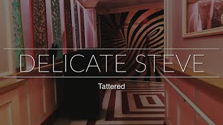 Tattered - Delicate Steve (Live)