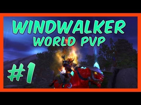 Windwalker World PVP Montage