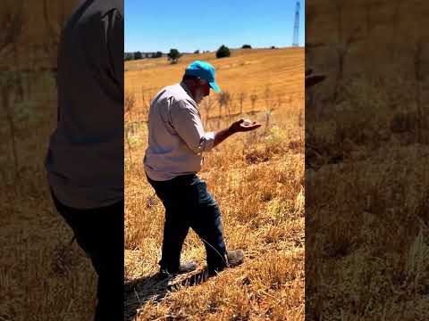 locate groundwater with an egg!