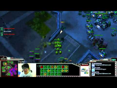 Slayers Dragon TVZ Troll Game Mass CC