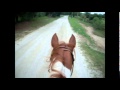 Half The Man -  Clint Black