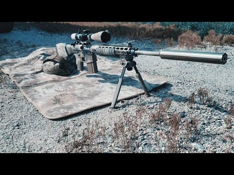 Palmetto State Armory Sabre 10- "the M110 we have at home"