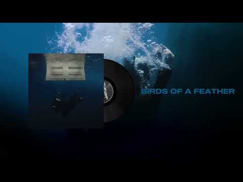 Billie Eilish - HIT ME HARD AND SOFT (Full Album / Visualizer)