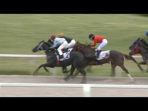 2021.05.23. 03. futam - NYERETLENEK VERSENYE (V.kat.) I. rész (szintetikus pálya)