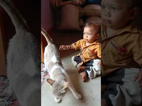 Baby Playing With Cat | Funny Cat | Baby And Cat | Funny Animal | Childhood | Funny Baby |#cat #baby