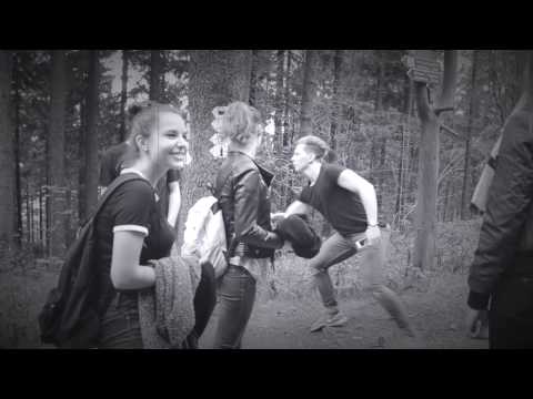 TANZ AUS DER REIHE! Maturavideo BG/BRG Freistadt 2016/17