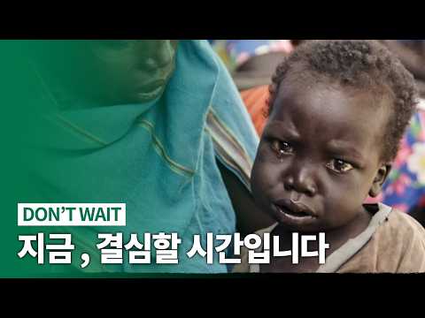 비디오 6