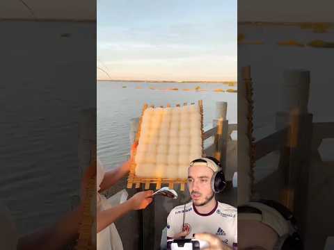 #fypyoutube #funny  #fypシ゚viral #ytbshorts #ytbshorts