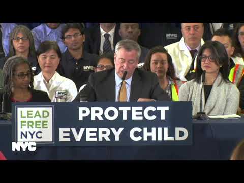 NYC Lead Prevention Plan