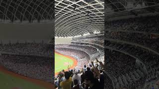 【Team Taiwan】 #premier12 台湾VS韓国@台北大巨蛋 20241113 #台湾チア #cheerdance #cheerleading #啦啦隊 #中華隊 #teamtaiwan