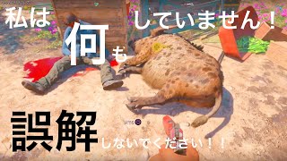 ＃14【FarCry New Dawn】ホ、ホ、ホ、ホ、ホレーショー！！！【実況】