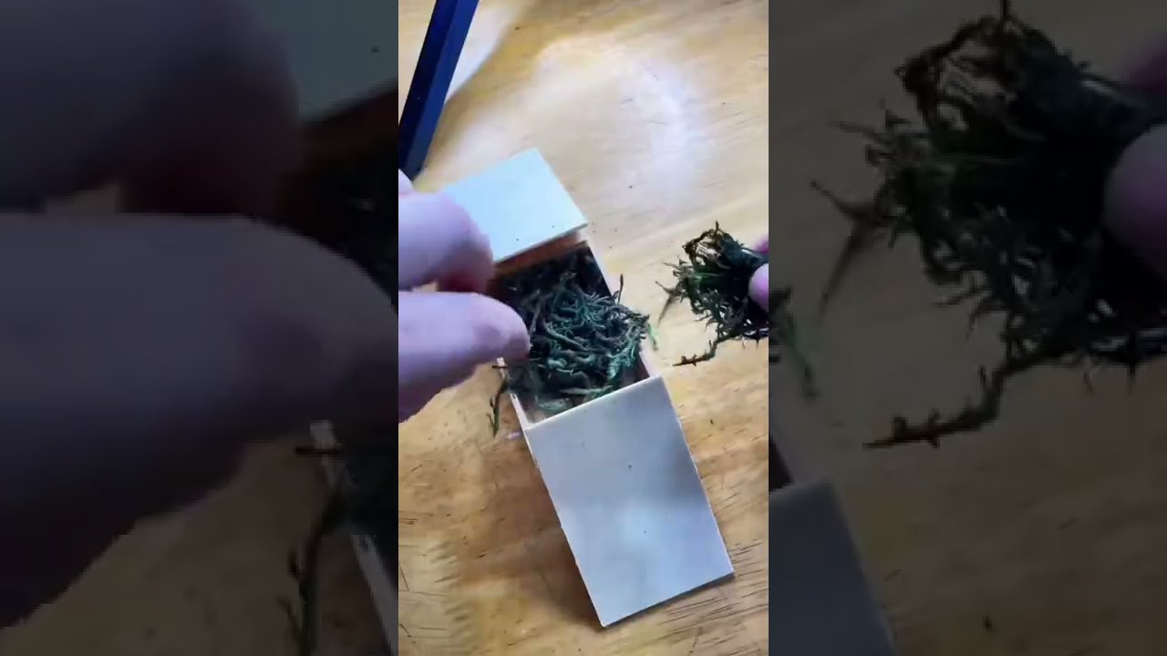 DIY Kicker to Kicker Fingerboard Obstacles - Season 1